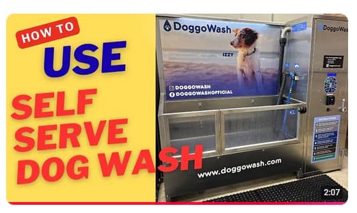 How to use a self-serve dog wash video